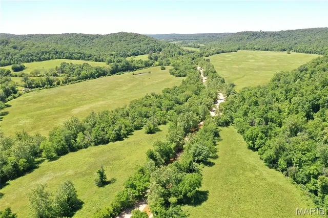 $960,000 | Tbd Big Barren Creek Road, Van Buren, MO 63965