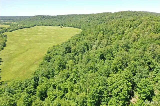 $960,000 | Tbd Big Barren Creek Road, Van Buren, MO 63965