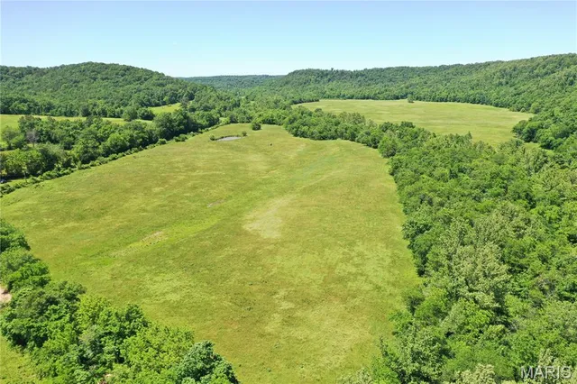 $960,000 | Tbd Big Barren Creek Road, Van Buren, MO 63965