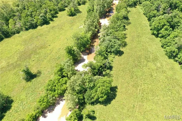 $875,000 | Tbd Big Barren Creek Road, Van Buren, MO 63965