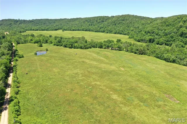 $960,000 | Tbd Big Barren Creek Road, Van Buren, MO 63965