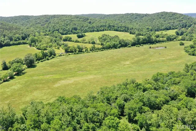 $899,000 | Tbd Big Barren Creek Road, Van Buren, MO 63965
