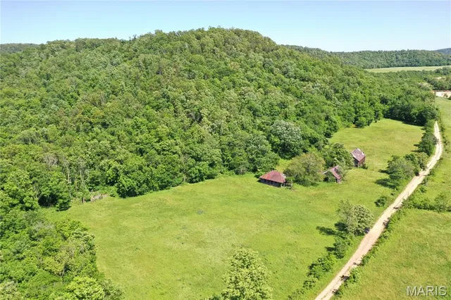 $960,000 | Tbd Big Barren Creek Road, Van Buren, MO 63965
