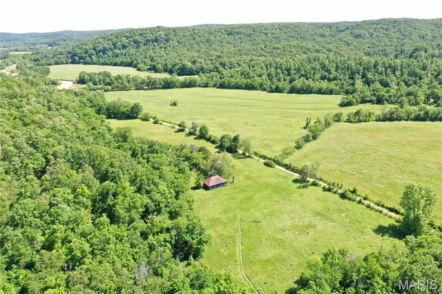 $960,000 | Tbd Big Barren Creek Road, Van Buren, MO 63965