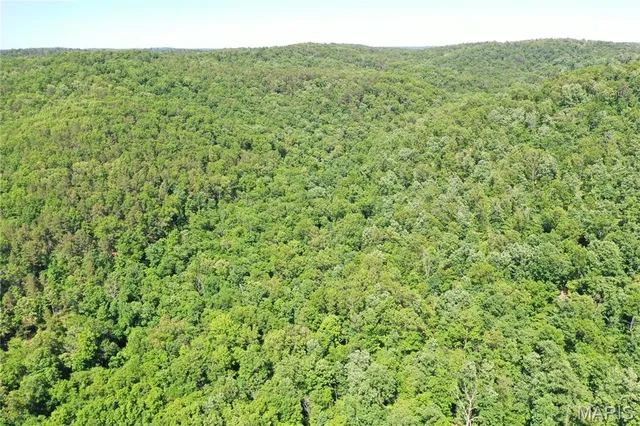 $960,000 | Tbd Big Barren Creek Road, Van Buren, MO 63965