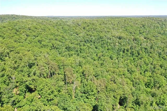 $960,000 | Tbd Big Barren Creek Road, Van Buren, MO 63965