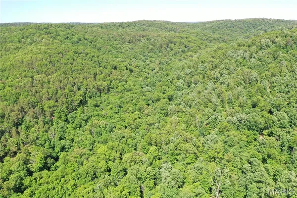 $875,000 | Tbd Big Barren Creek Road, Van Buren, MO 63965