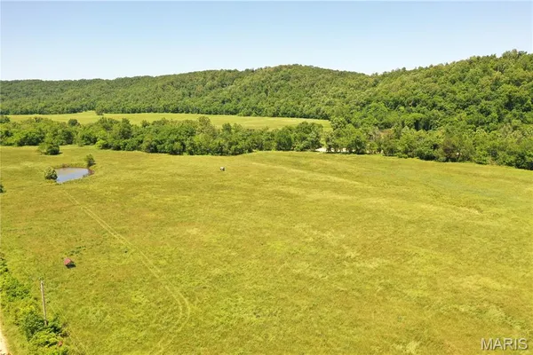 $875,000 | Tbd Big Barren Creek Road, Van Buren, MO 63965