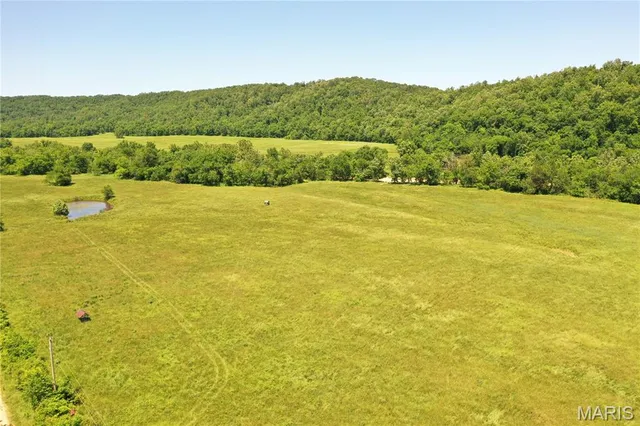 $960,000 | Tbd Big Barren Creek Road, Van Buren, MO 63965