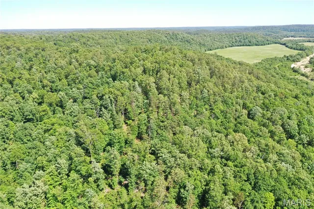 $899,000 | Tbd Big Barren Creek Road, Van Buren, MO 63965
