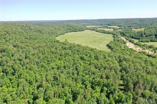 $960,000 | Tbd Big Barren Creek Road, Van Buren, MO 63965