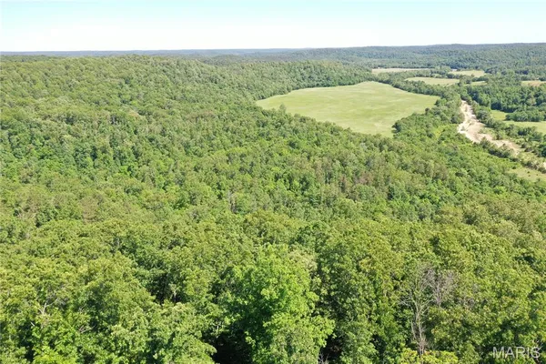 $875,000 | Tbd Big Barren Creek Road, Van Buren, MO 63965
