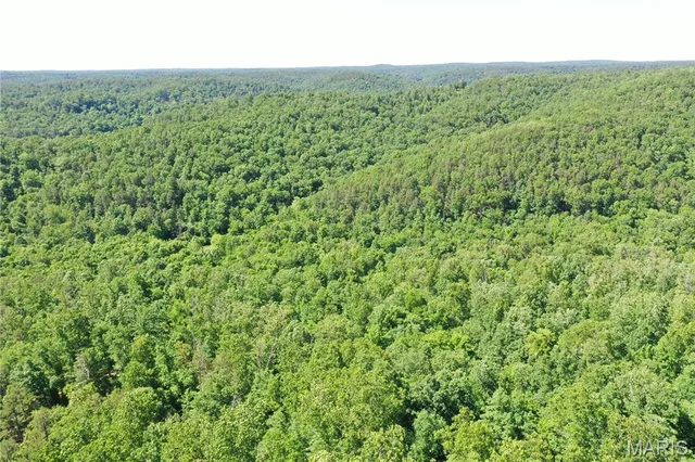 $960,000 | Tbd Big Barren Creek Road, Van Buren, MO 63965