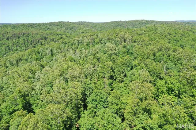 $960,000 | Tbd Big Barren Creek Road, Van Buren, MO 63965