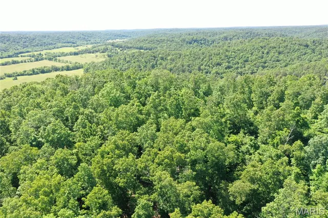 $899,000 | Tbd Big Barren Creek Road, Van Buren, MO 63965