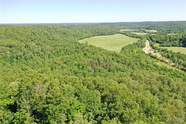 $960,000 | Tbd Big Barren Creek Road, Van Buren, MO 63965