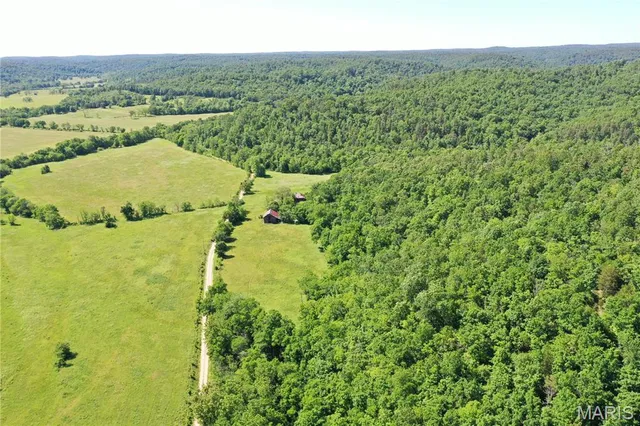 $899,000 | Tbd Big Barren Creek Road, Van Buren, MO 63965
