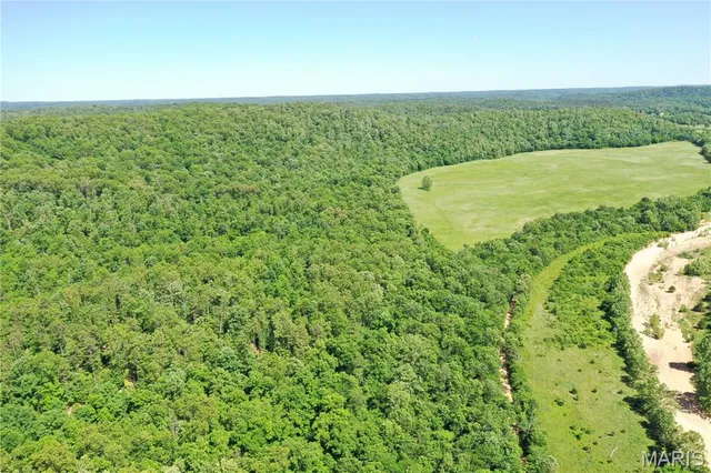 $899,000 | Tbd Big Barren Creek Road, Van Buren, MO 63965