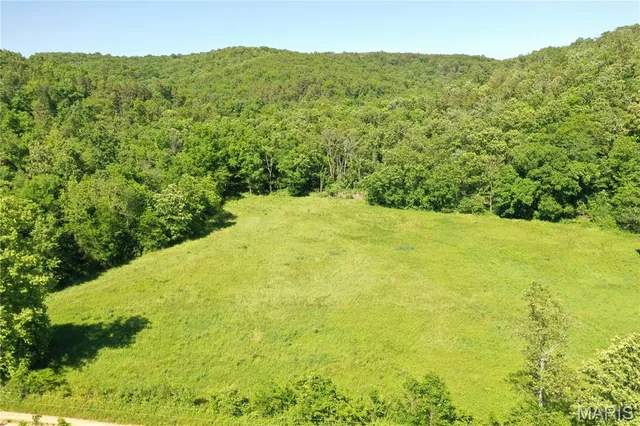 $960,000 | Tbd Big Barren Creek Road, Van Buren, MO 63965