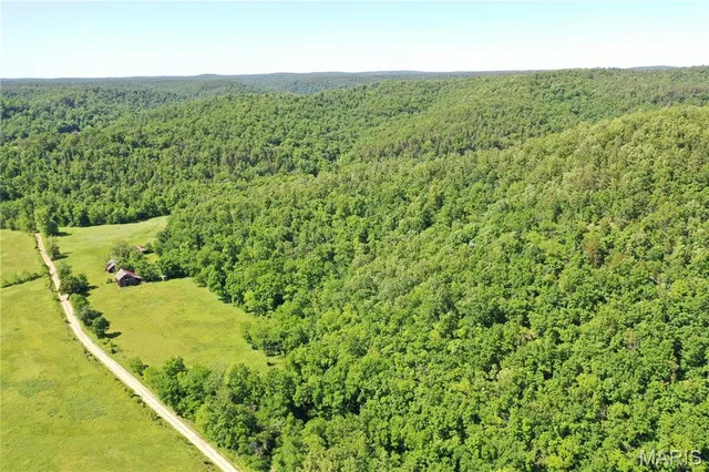 $899,000 | Tbd Big Barren Creek Road, Van Buren, MO 63965