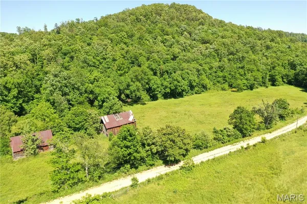 $875,000 | Tbd Big Barren Creek Road, Van Buren, MO 63965