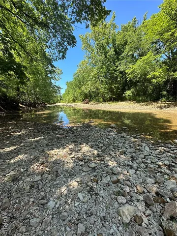 $960,000 | Tbd Big Barren Creek Road, Van Buren, MO 63965