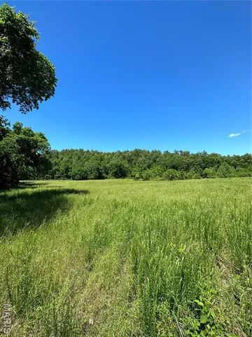 $960,000 | Tbd Big Barren Creek Road, Van Buren, MO 63965