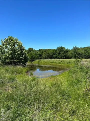 $960,000 | Tbd Big Barren Creek Road, Van Buren, MO 63965