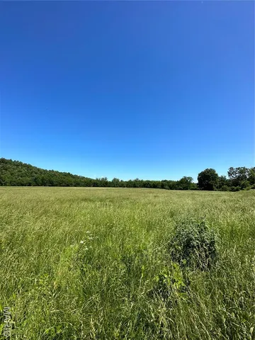 $960,000 | Tbd Big Barren Creek Road, Van Buren, MO 63965
