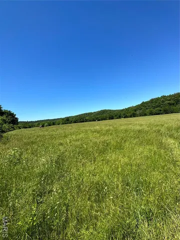 $960,000 | Tbd Big Barren Creek Road, Van Buren, MO 63965