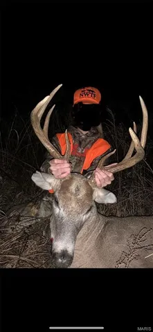 $960,000 | Tbd Big Barren Creek Road, Van Buren, MO 63965