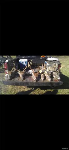 $960,000 | Tbd Big Barren Creek Road, Van Buren, MO 63965