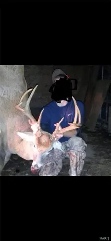 $960,000 | Tbd Big Barren Creek Road, Van Buren, MO 63965