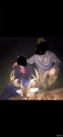 $960,000 | Tbd Big Barren Creek Road, Van Buren, MO 63965