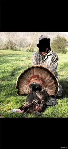 $960,000 | Tbd Big Barren Creek Road, Van Buren, MO 63965