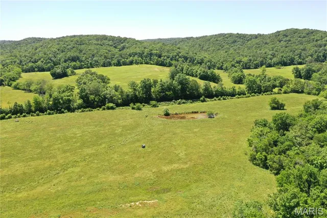 $960,000 | Tbd Big Barren Creek Road, Van Buren, MO 63965