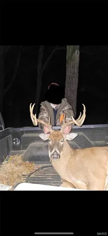 $899,000 | Tbd Big Barren Creek Road, Van Buren, MO 63965