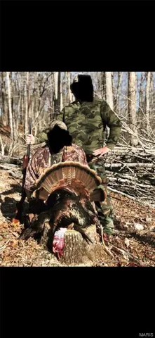 $960,000 | Tbd Big Barren Creek Road, Van Buren, MO 63965