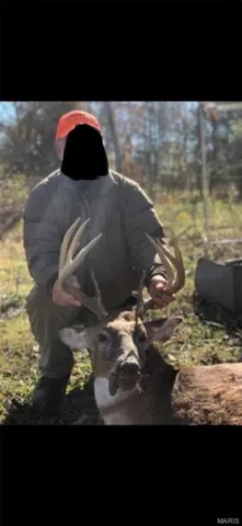 $960,000 | Tbd Big Barren Creek Road, Van Buren, MO 63965