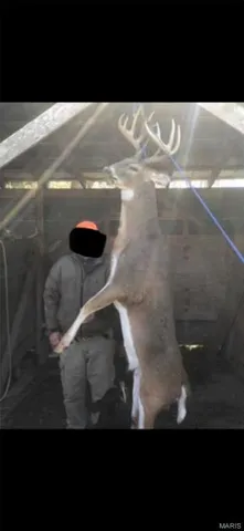 $960,000 | Tbd Big Barren Creek Road, Van Buren, MO 63965