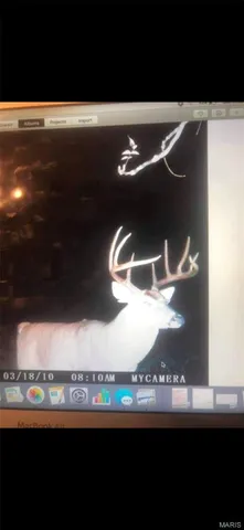 $960,000 | Tbd Big Barren Creek Road, Van Buren, MO 63965