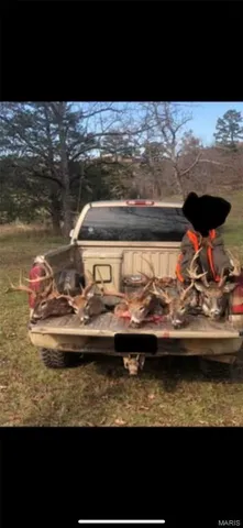 $899,000 | Tbd Big Barren Creek Road, Van Buren, MO 63965