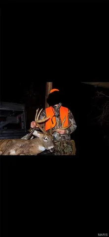 $960,000 | Tbd Big Barren Creek Road, Van Buren, MO 63965