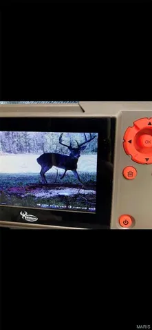 $899,000 | Tbd Big Barren Creek Road, Van Buren, MO 63965