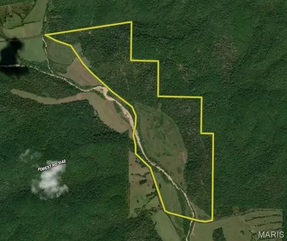 $960,000 | Tbd Big Barren Creek Road, Van Buren, MO 63965