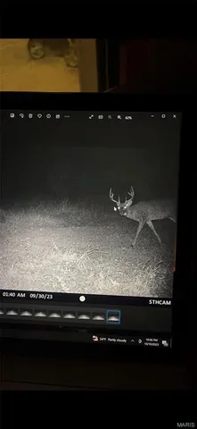 $899,000 | Tbd Big Barren Creek Road, Van Buren, MO 63965