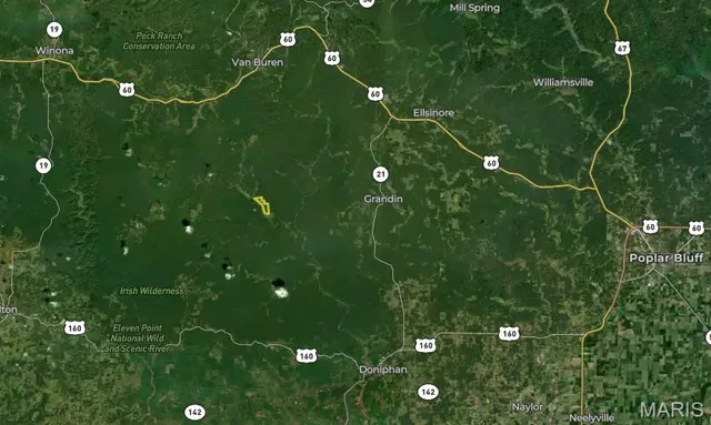 $960,000 | Tbd Big Barren Creek Road, Van Buren, MO 63965