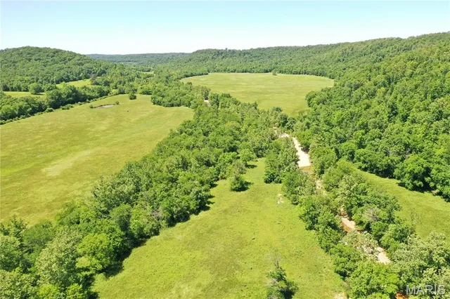 $960,000 | Tbd Big Barren Creek Road, Van Buren, MO 63965