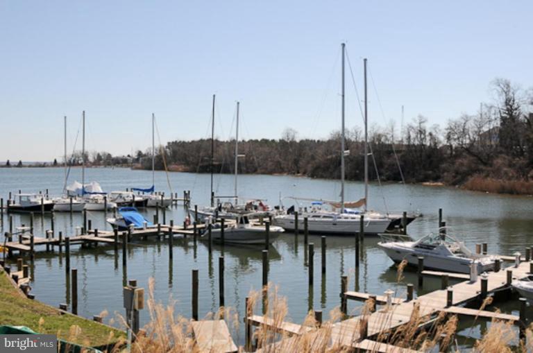205 Providence Road Annapolis, MD 21409 - Photo 16 of 20 a view of a lake with boats and trees in the background