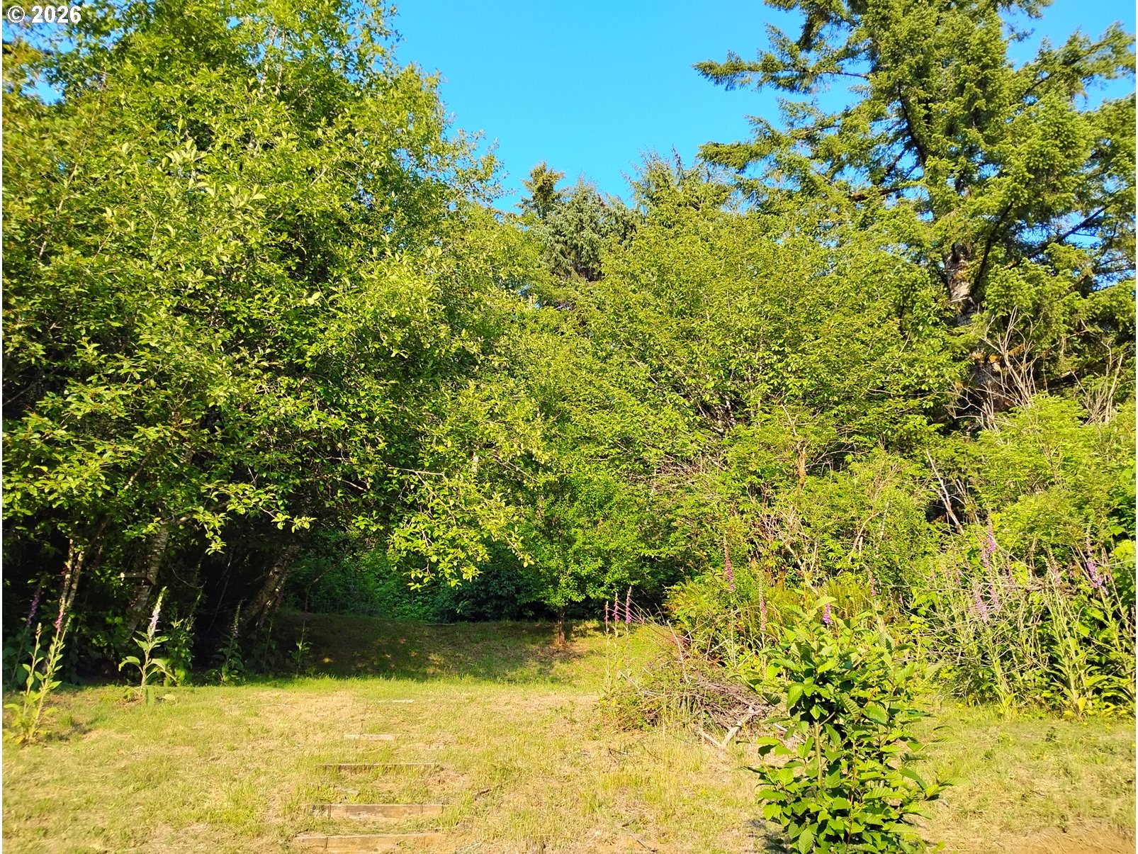 9514 South Schooner Creek Road Otis, OR 97368 - Photo 28 of 30